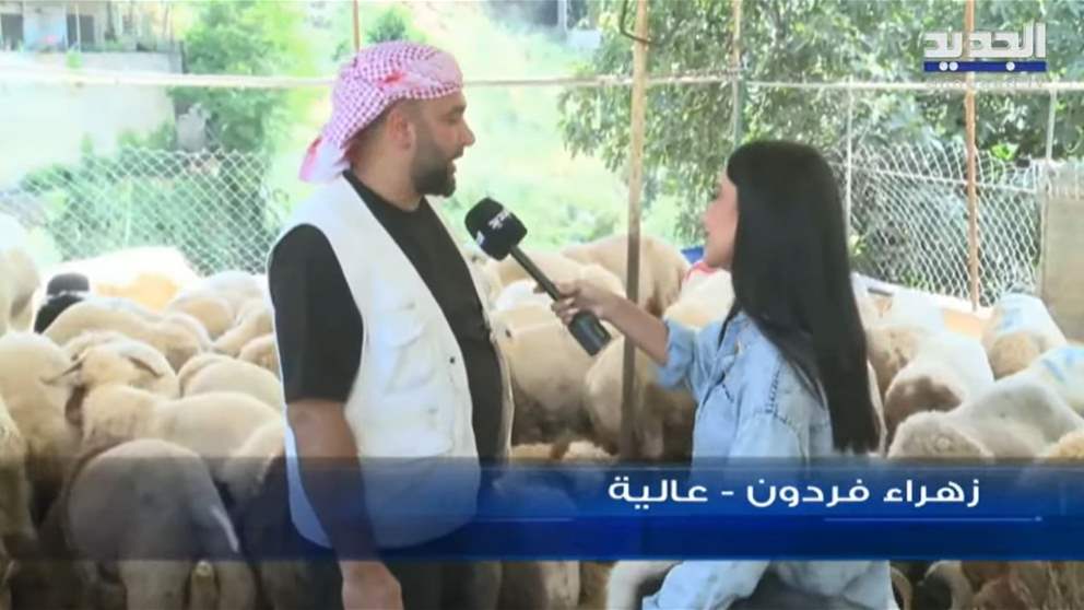 كل ما تريد معرفته عن أضاحي العيد وأسعارها مع مراسلة الجديد